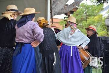 Folclore, artesanía, zumba y fotografía se dan la mano en Los Llanos (Foto Francisco Javier Santana y TA)